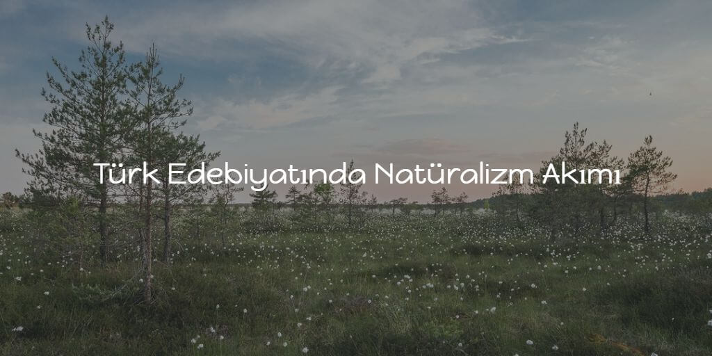 Türk Edebiyatında Natüralizm Akımı